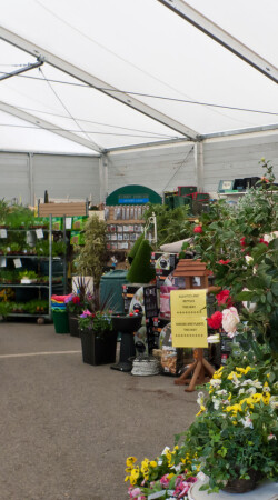 Temporary retail building