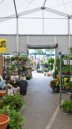 retail area inside an aganto temporary building